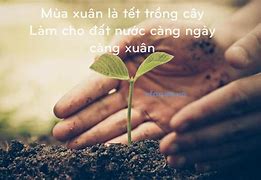 Càng Ngày Càng Xuân Là Gì