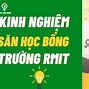 Săn Học Bổng Đại Học Rmit 2024 Vietnam University Of Sydney