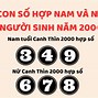 Tuổi Thìn Năm 2000 Hợp Màu Gì